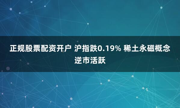 正规股票配资开户 沪指跌0.19% 稀土永磁概念逆市活跃